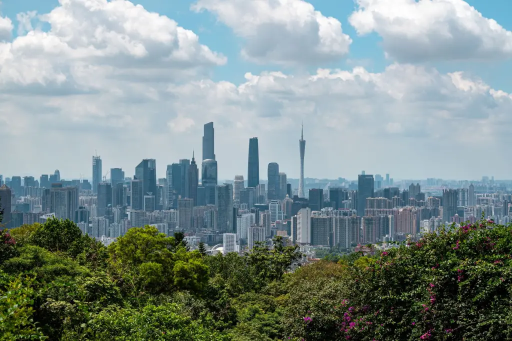 重庆旅行箱包选购指南：千娱音手袋与行李箱材质解析