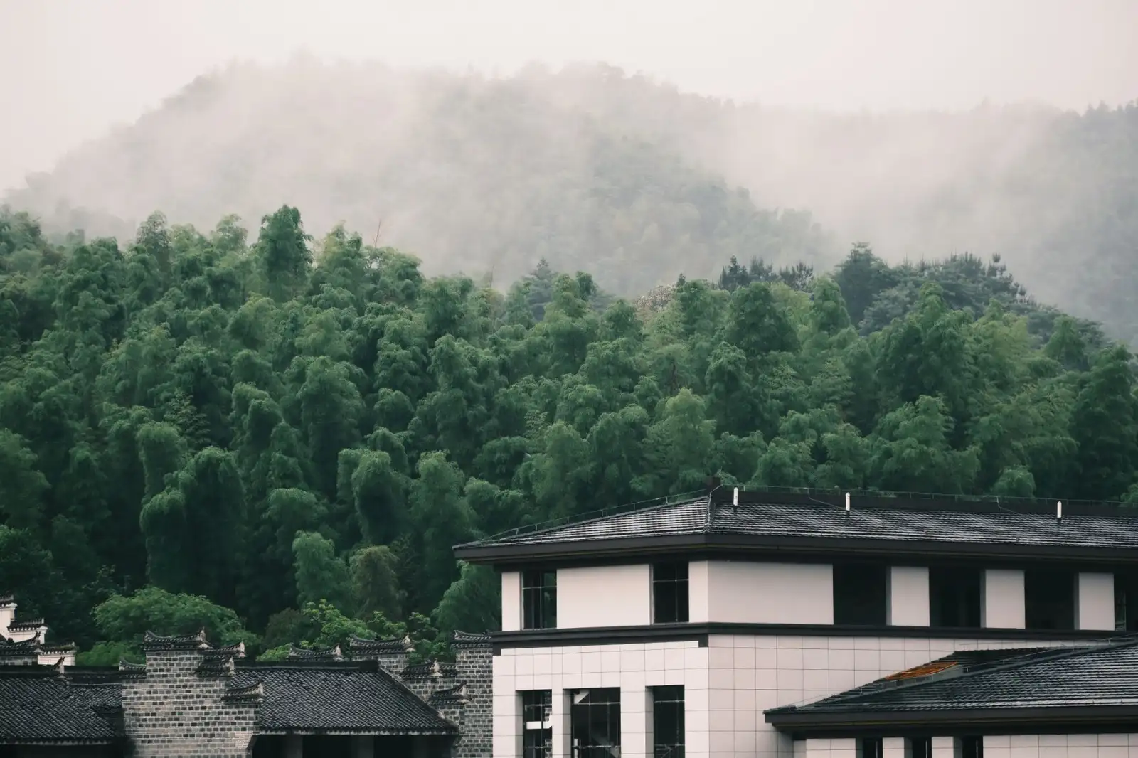 千娱音品牌皮具旅行箱系列：实用设计与出行场景应用案例