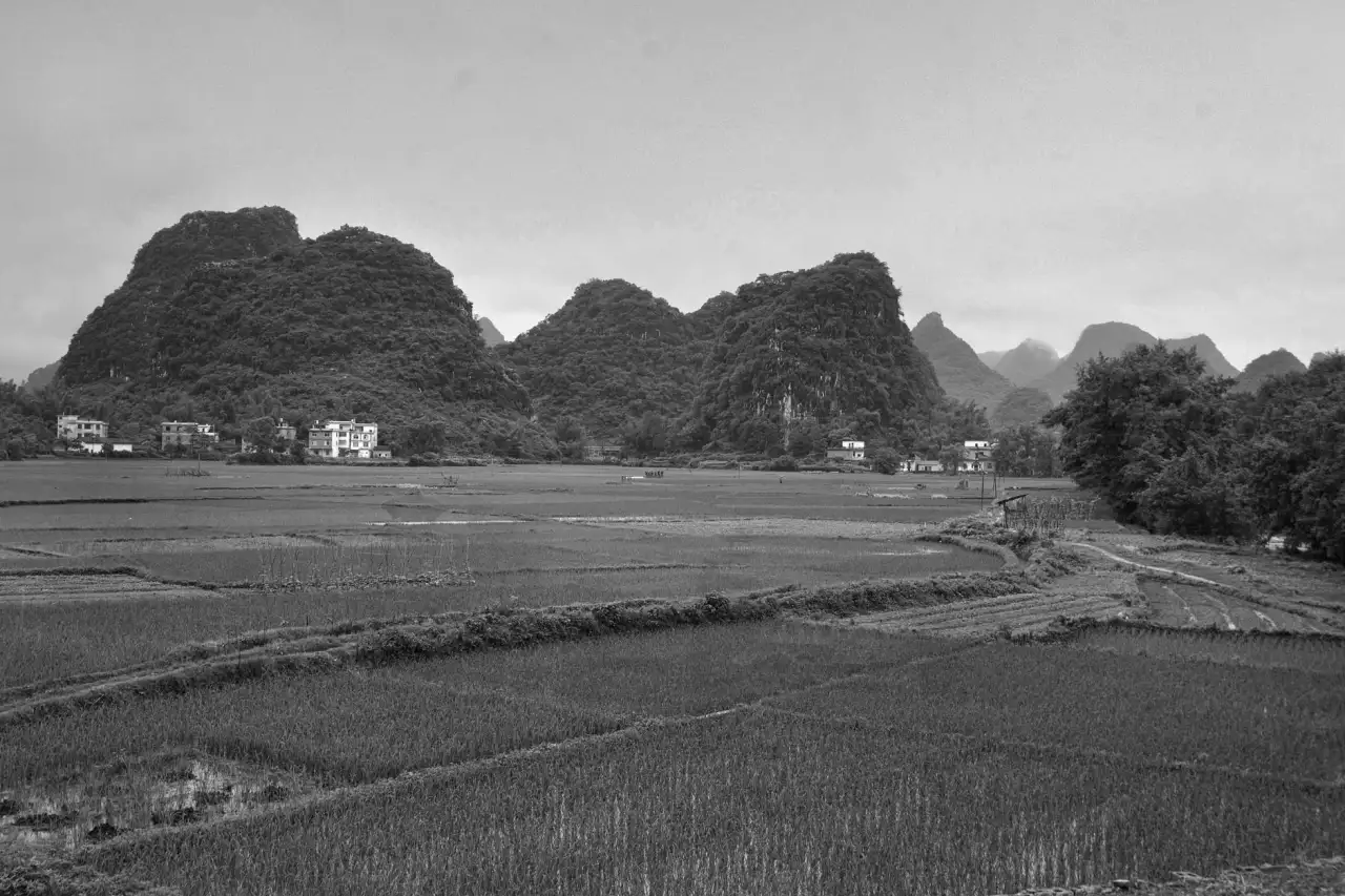 2024年箱包辅料技术升级趋势及对重庆旅行箱品质影响分析