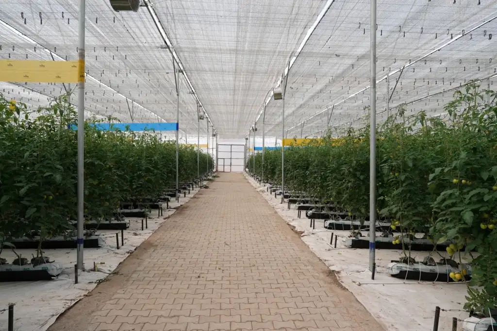 2025年箱包皮具行业新工艺趋势与材质升级解析