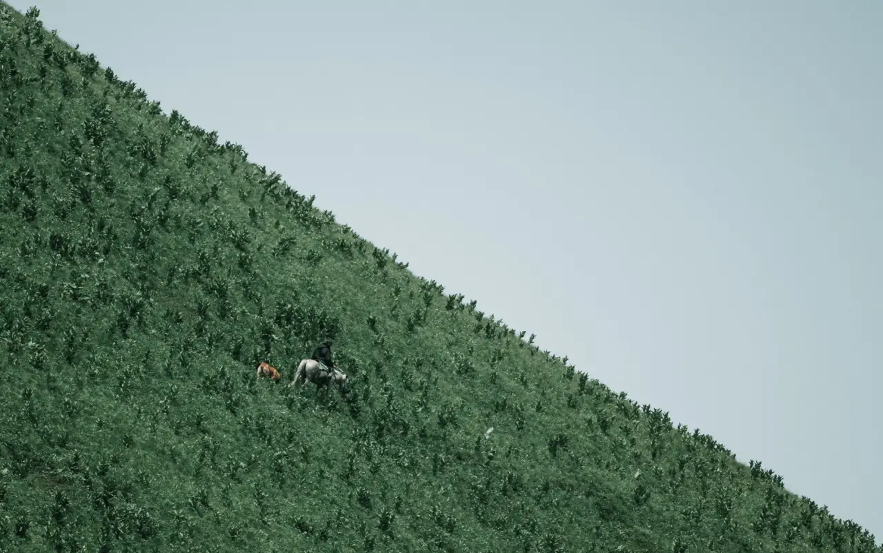 重庆出行人群旅行箱包选购指南：千娱音手袋与行李箱材质对比分析