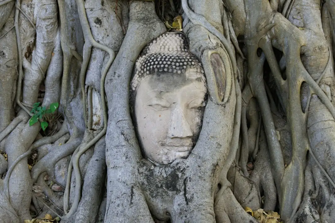 箱包皮具行业动态：重庆旅行箱包市场需求变化与选购趋势分析正文配图 1